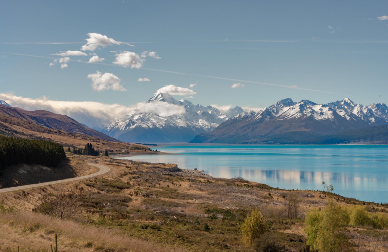New Zealand Immigration & Employment Solutions Ltd