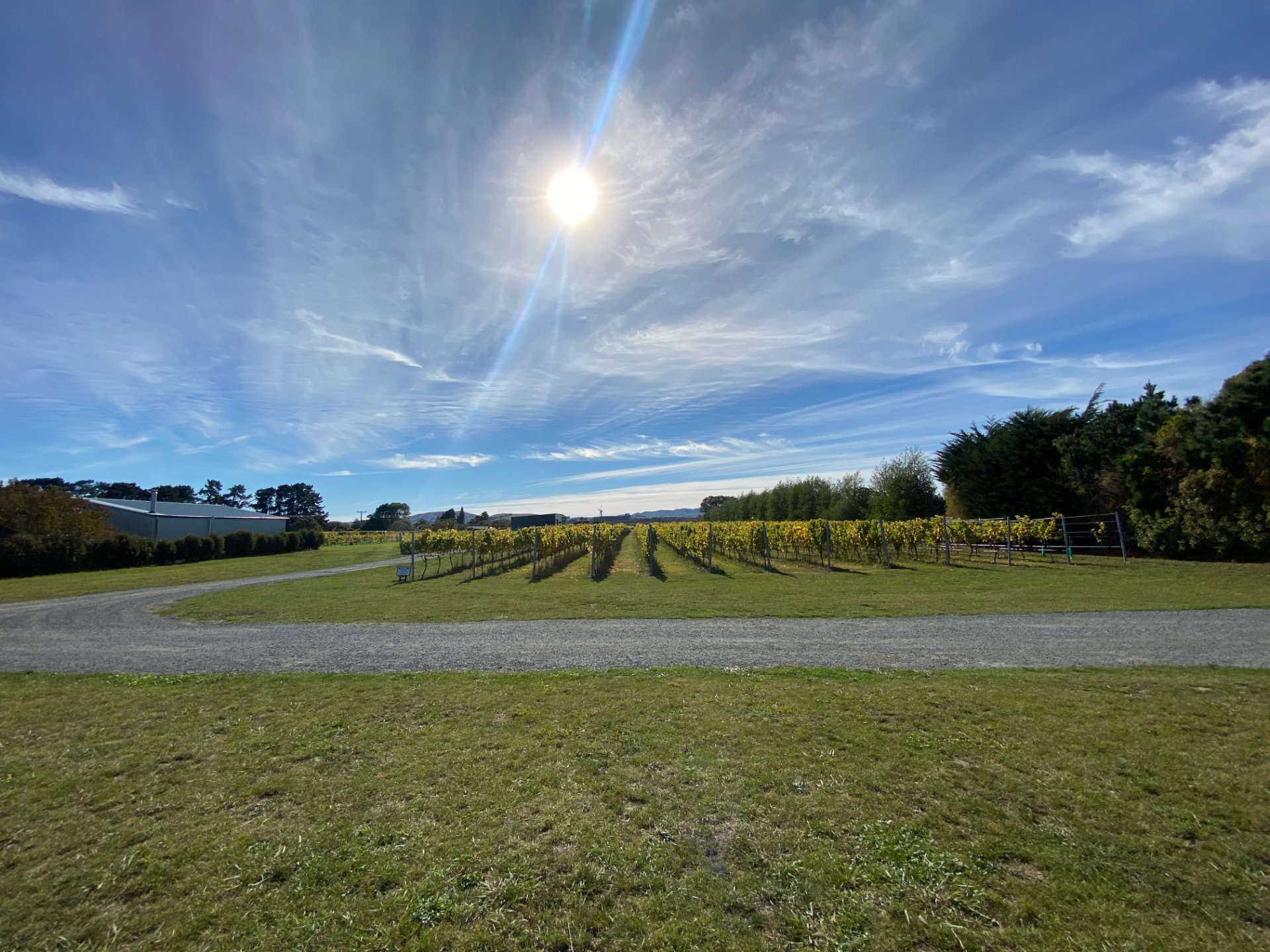 Wineinsights - Wine tours & education in Martinborough