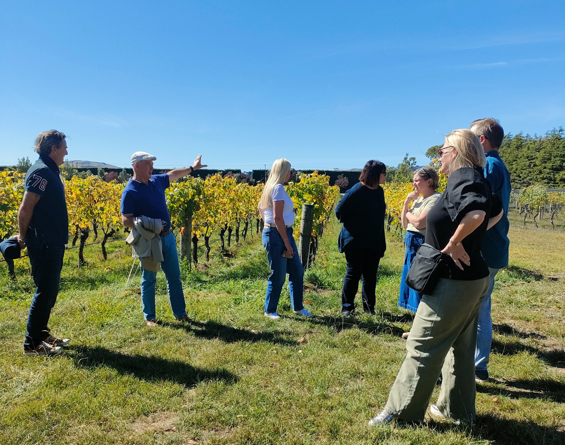 Wineinsights - Wine tours & education in Martinborough