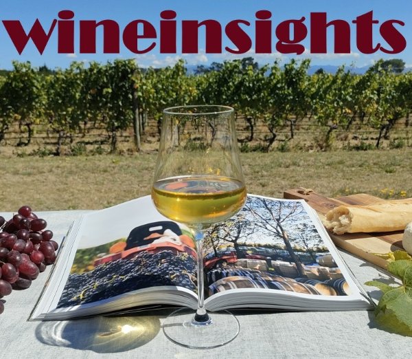 Wineinsights - Wine tours & education in Martinborough logo