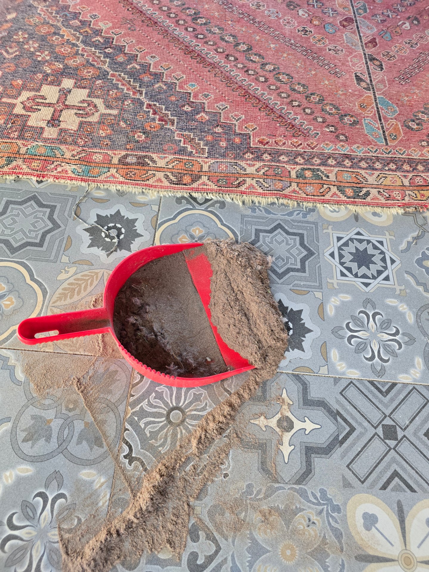 The Rug Guru – Specialist Rug Cleaning & Restoration