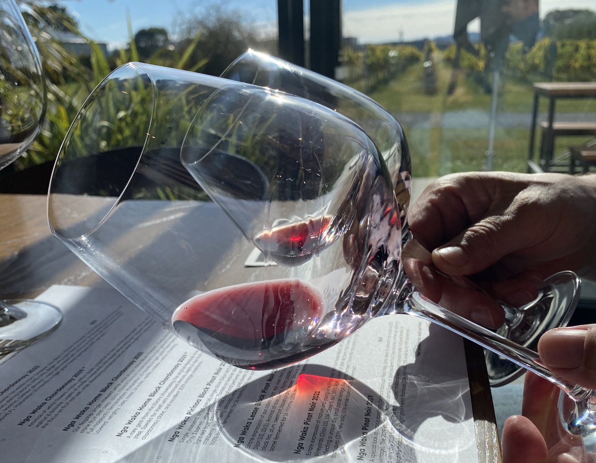 Wineinsights - Wine tours & education in Martinborough