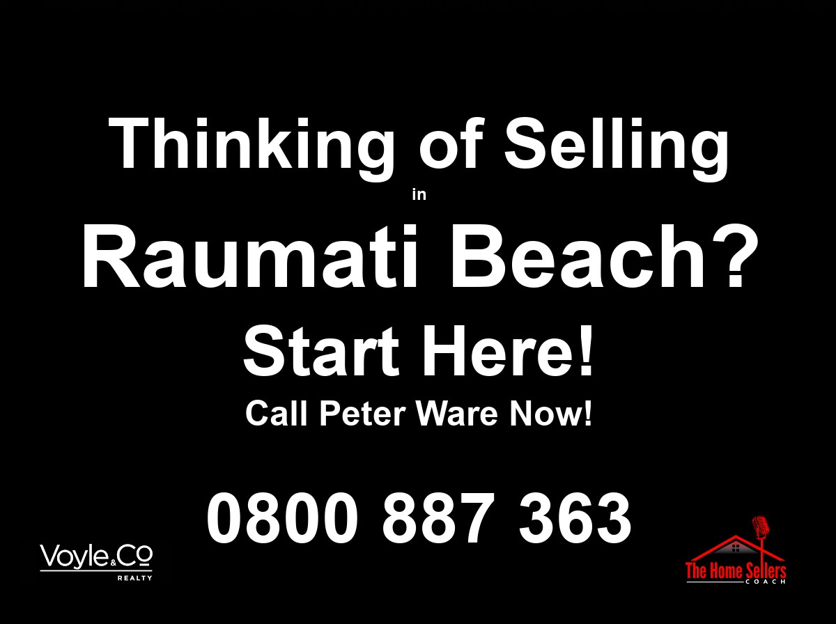 Peter Ware for Kapiti Real Estate @ Voyle & Co Realty - Licensed REAA 2008