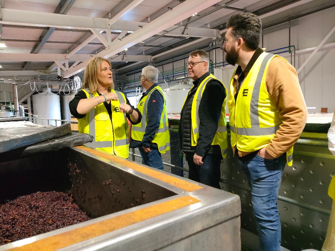 Wineinsights - Wine tours & education in Martinborough