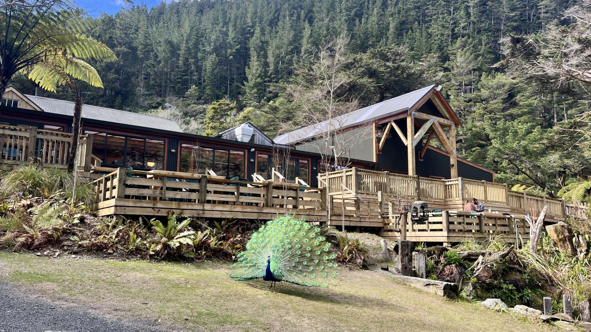 Staglands Wildlife Reserve & Café
