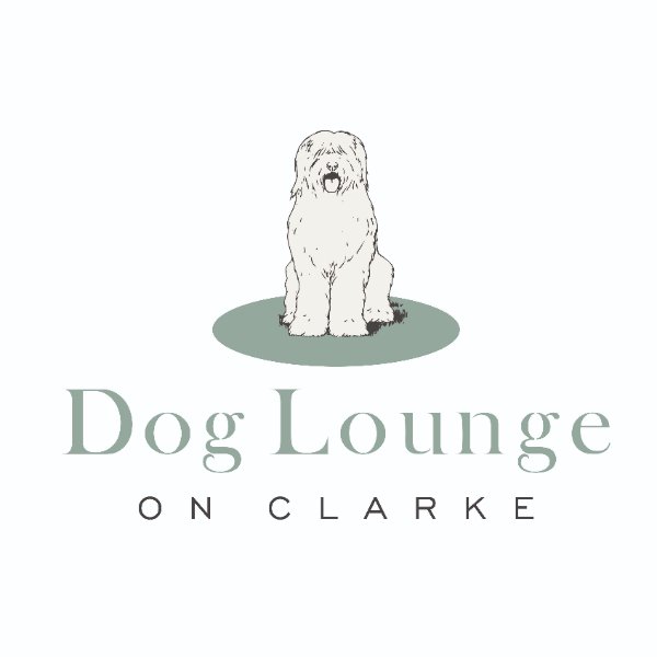 Dog Lounge on Clarke