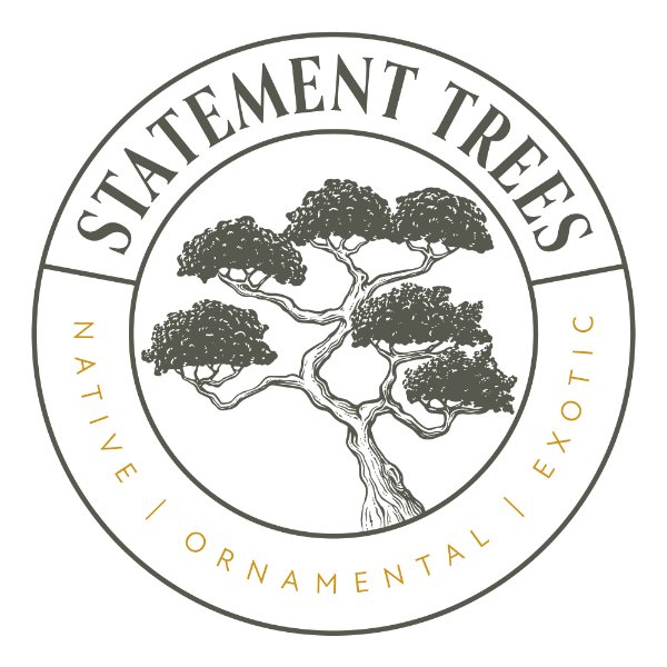 Statement Trees